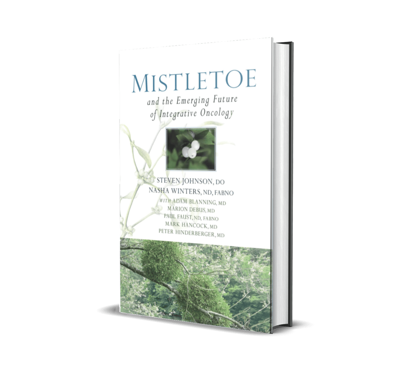 Mistletoe and the emerging future of integrative oncology