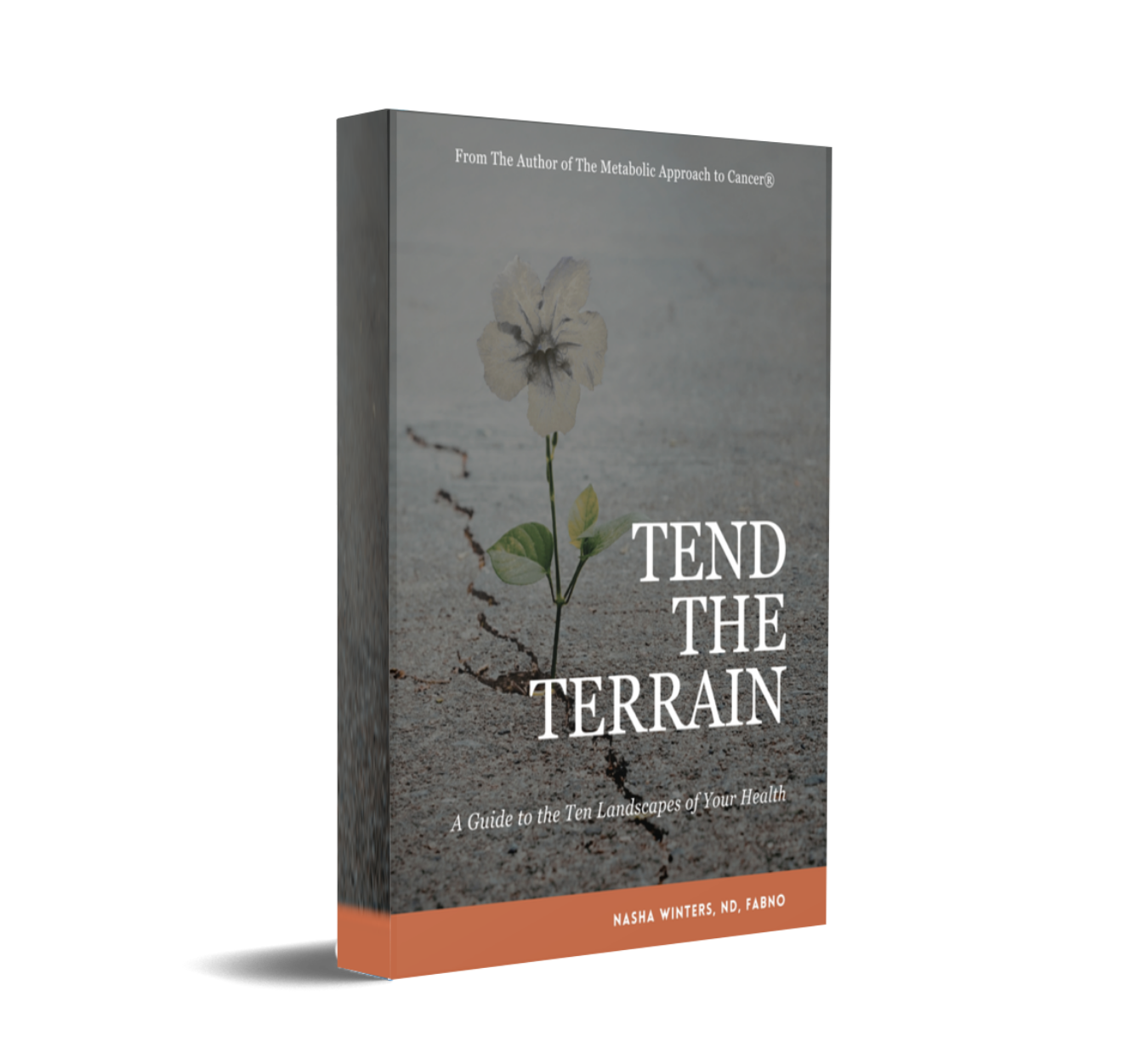 Tend-The-Terrain-Nasha-Winters-Ebook